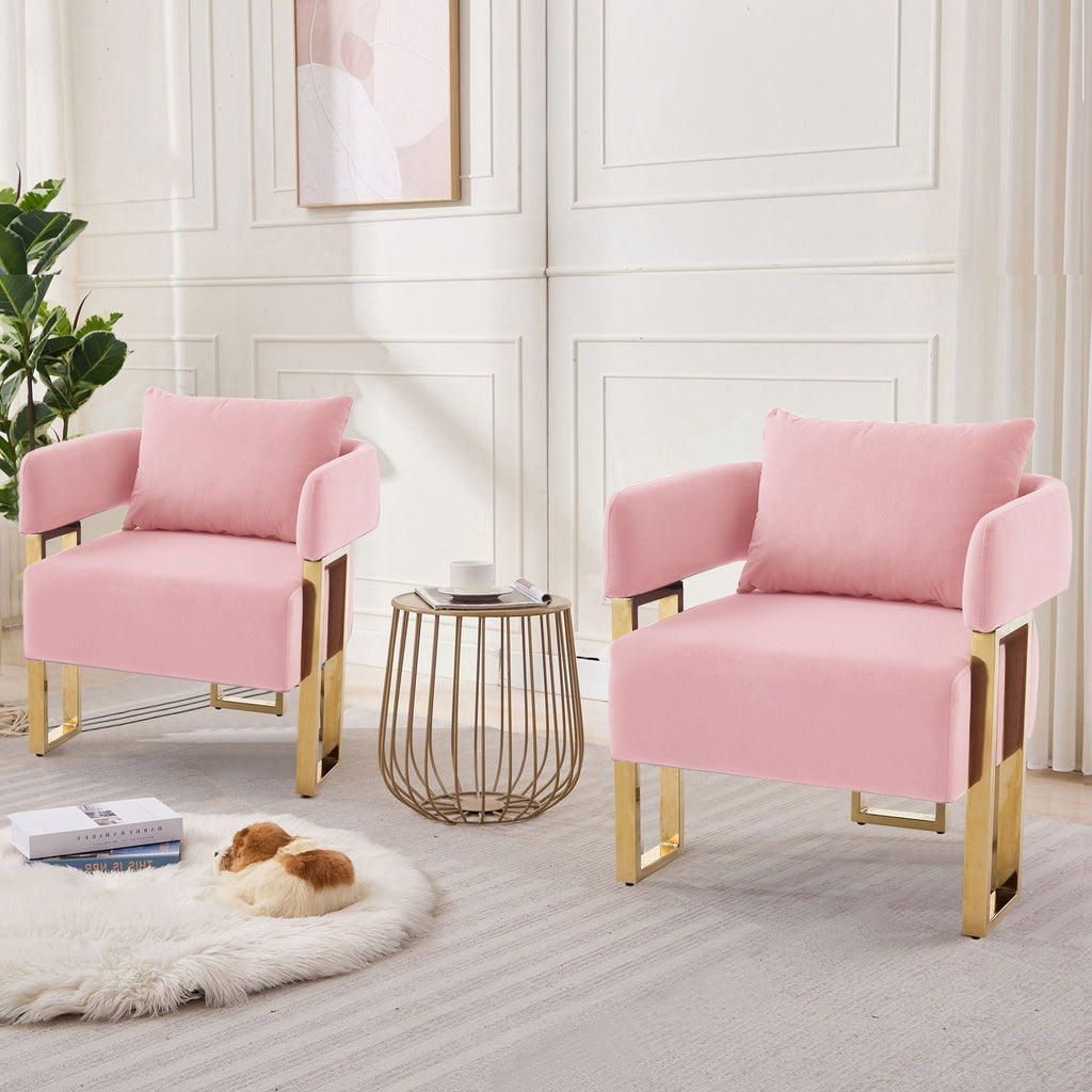 Modern Classic Decorative Chair with Teddy Fleece Upholstery