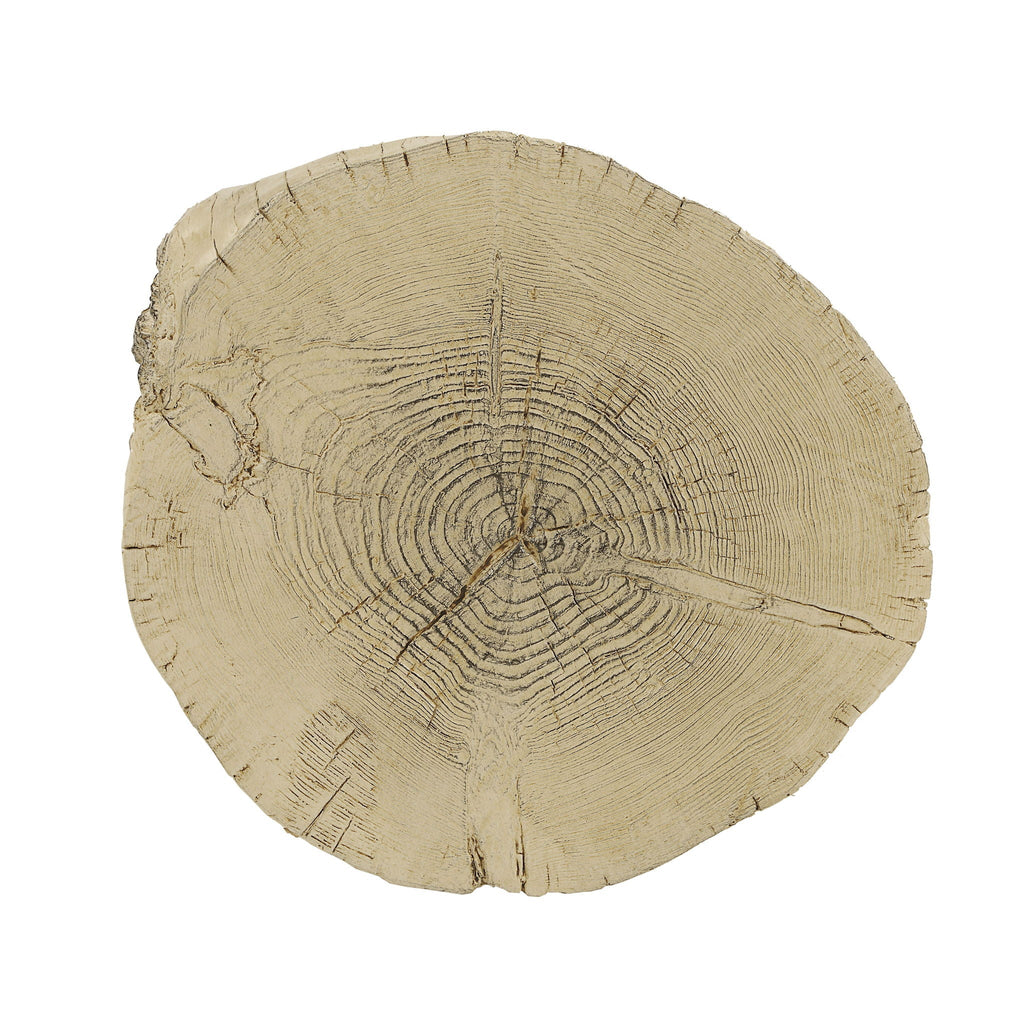 Gene Fiber Concrete Accent Table - Brown