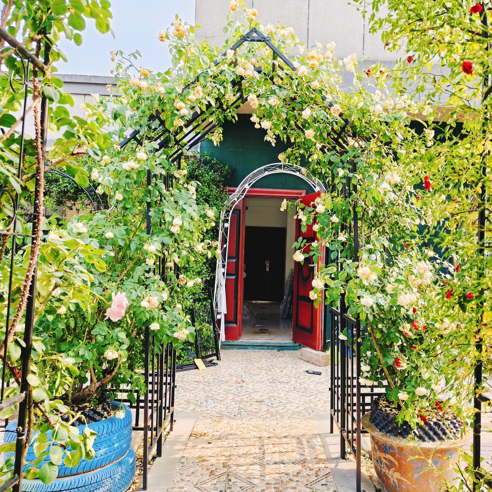 Metal Garden Arch with Adjustable Width for Climbing Plants