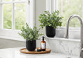 11" Tall Artificial Plant Eucalyptus Grass Indoor Decorative Set of 2