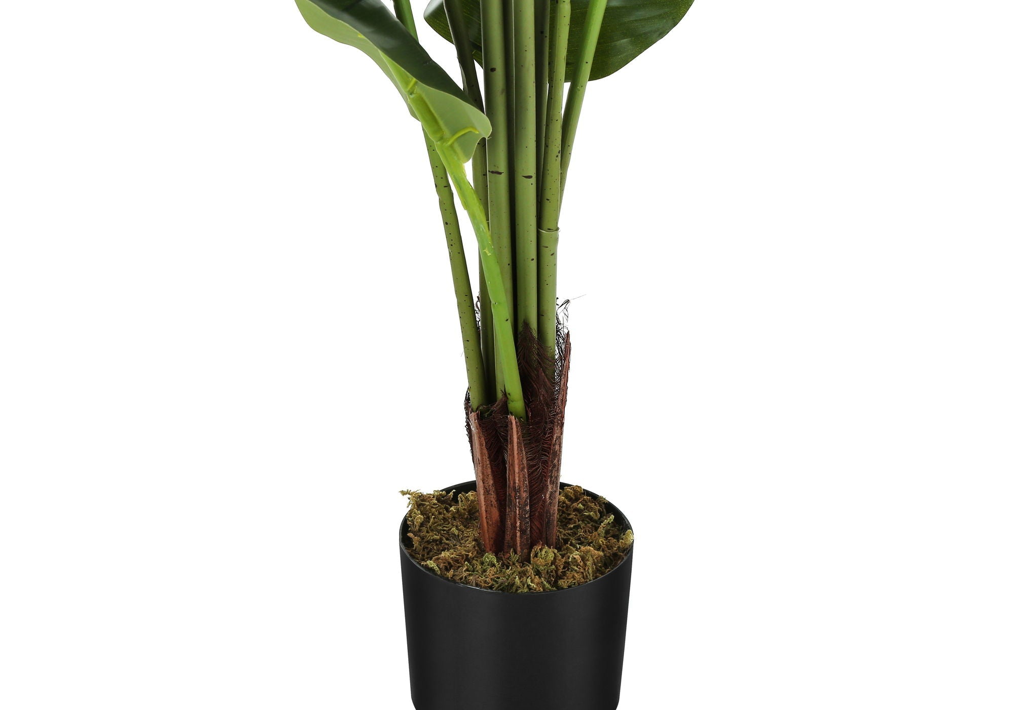 59" Tall Artificial Strelitzia Tree Indoor Faux Plant