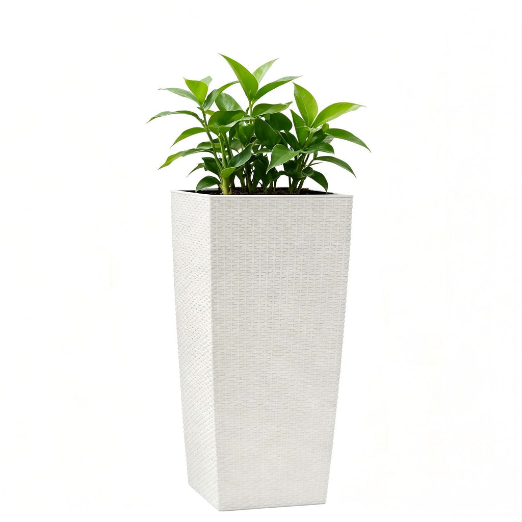 Indoor Outdoor Planter With Automatic Watering System