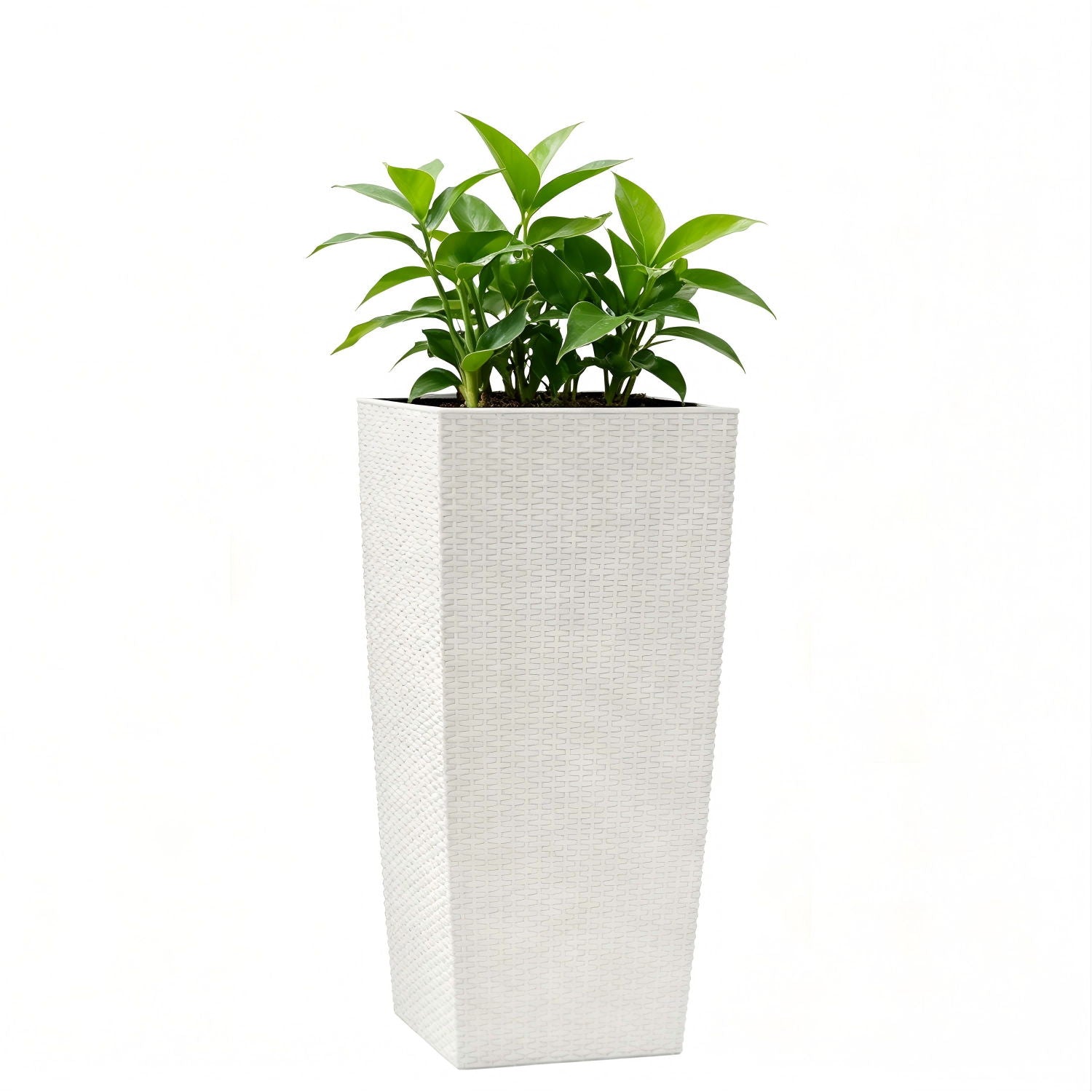 Indoor Outdoor Planter With Automatic Watering System
