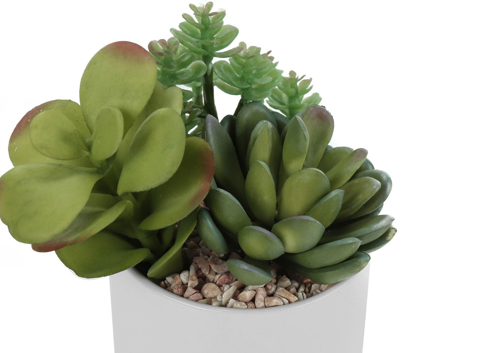 7" Tall Artificial Succulent Plant Set of 2 with White Ceramic Pots