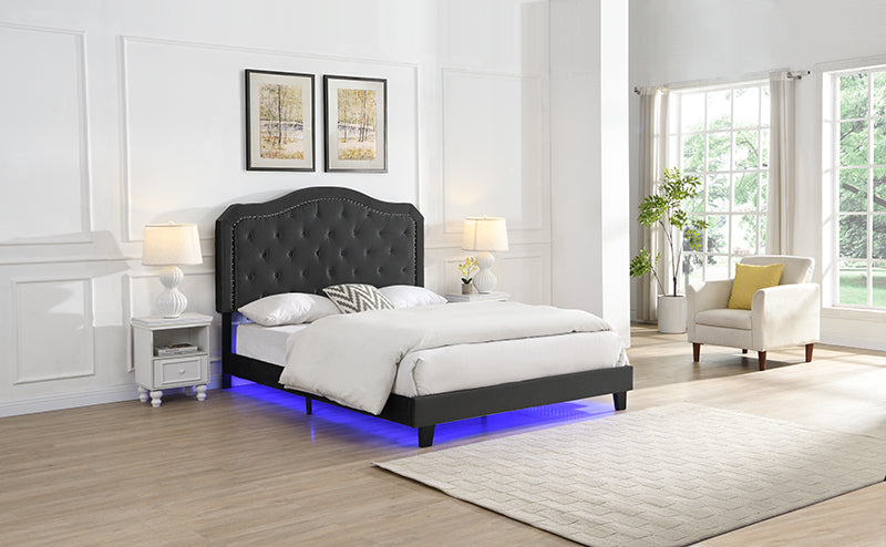 Queen Upholstered Bed Button Tufted with Curve Design