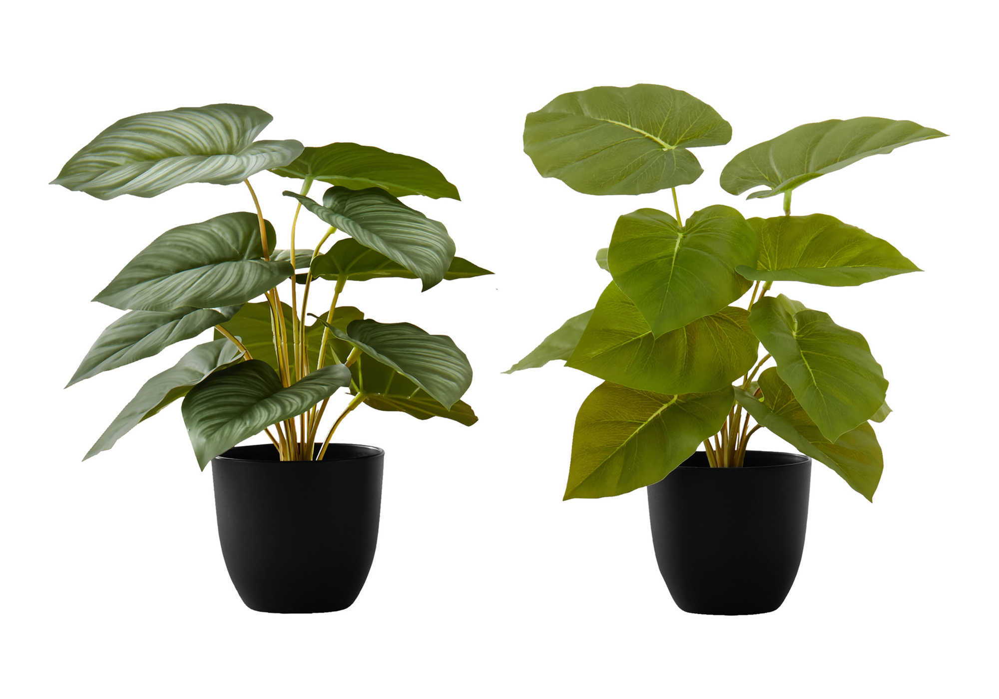 13" Tall Artificial Epipremnum Plants Set of 2