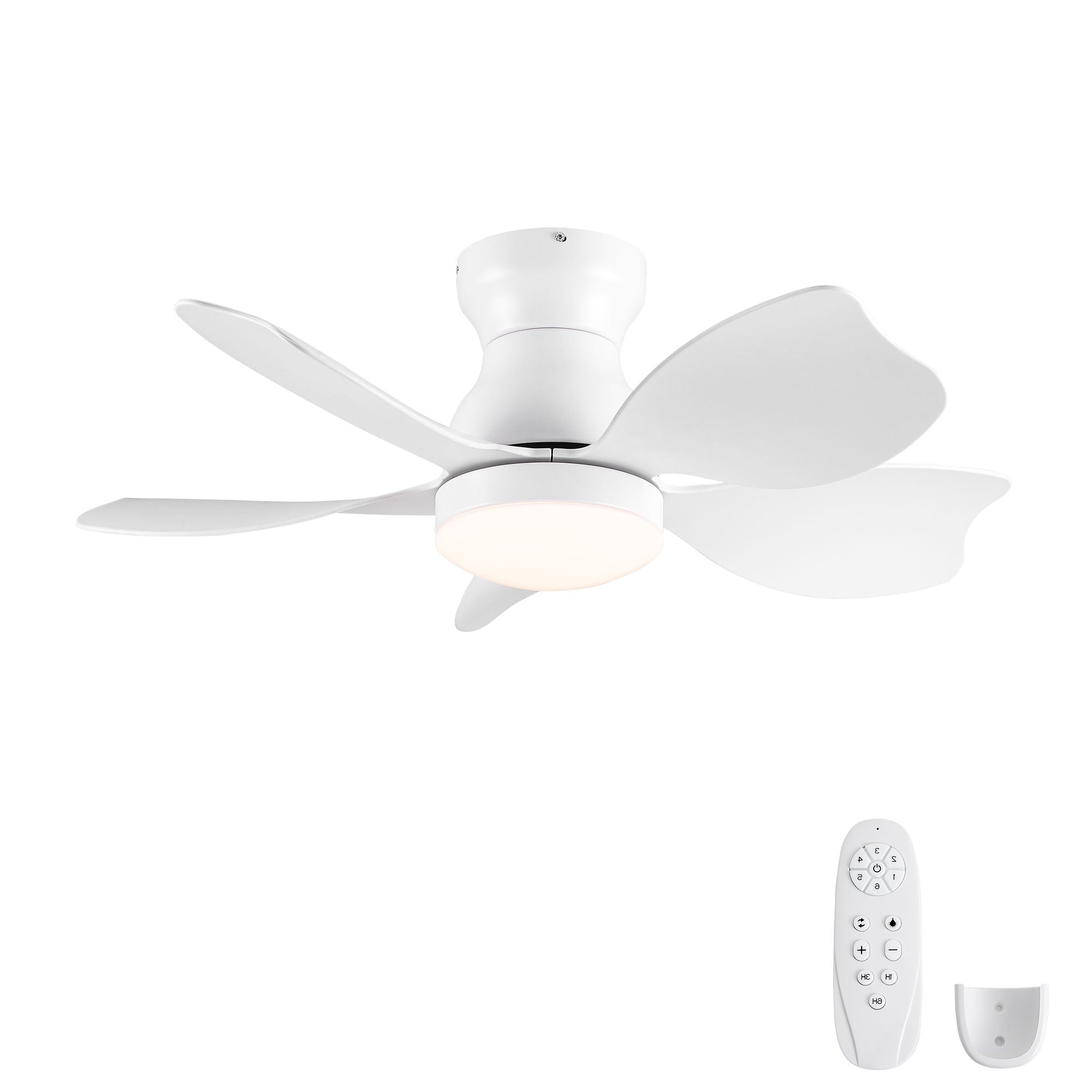 Low Profile Flush Mount Ceiling Fan With Light