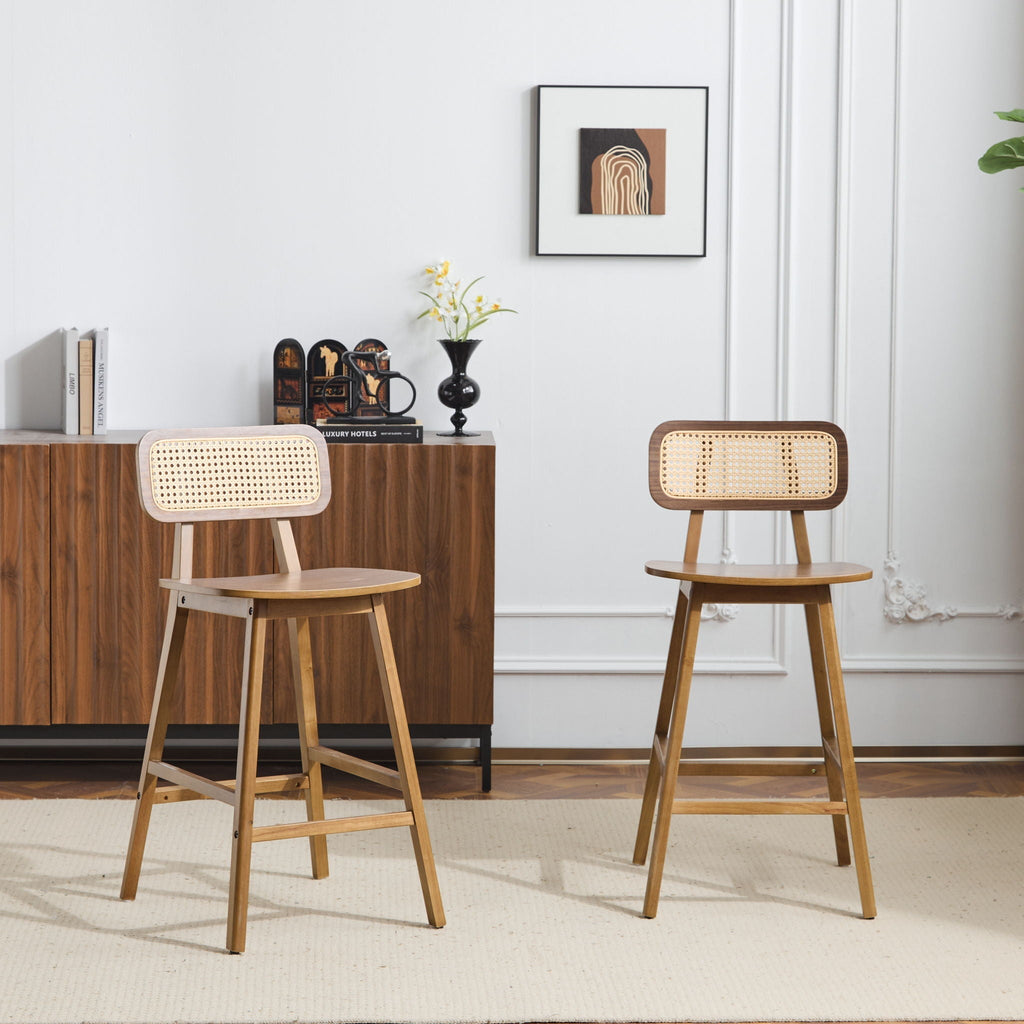 Bari Indoor Wood Barstool (Set of 2)