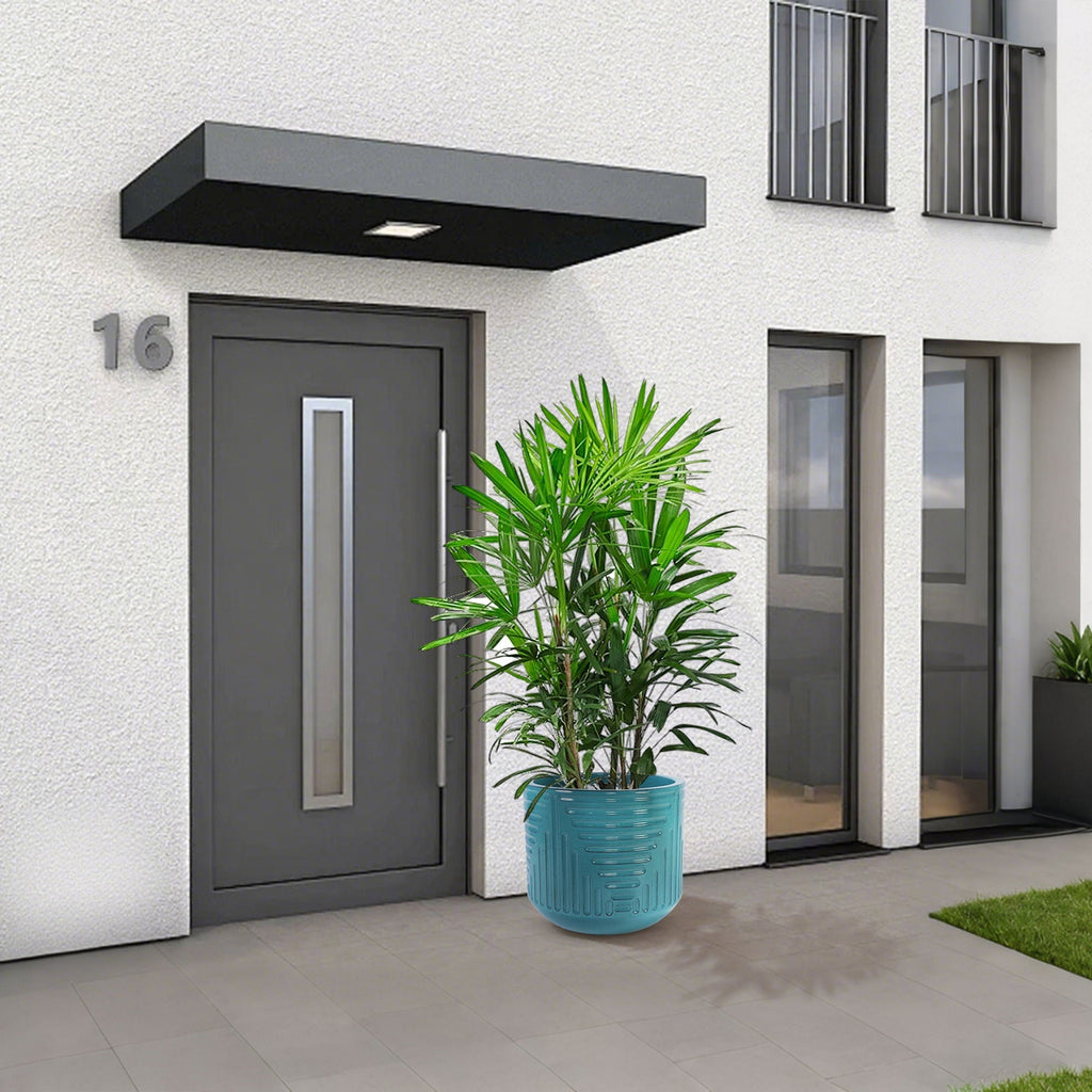 Versatile Flowerpot Planter for Patio, Garden, and Windowsill