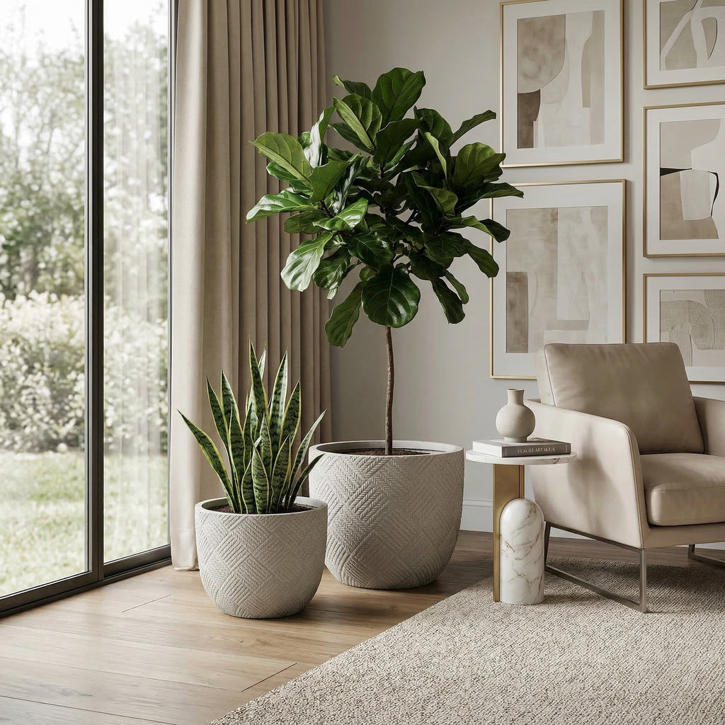 Round Concrete Planter Set of 2