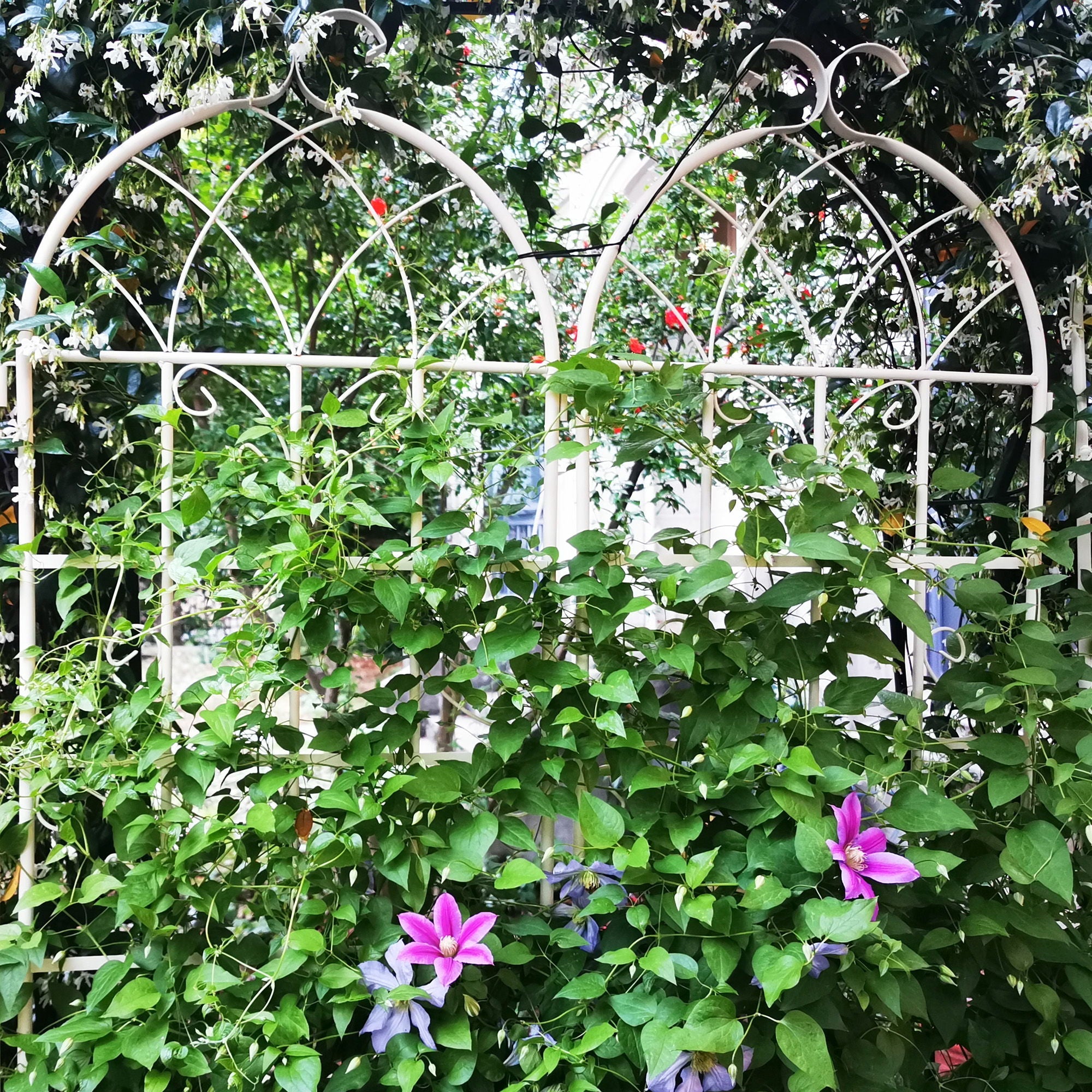 Metal Garden Rustproof Trellis For Climbing Plants Outdoor Flower Support
