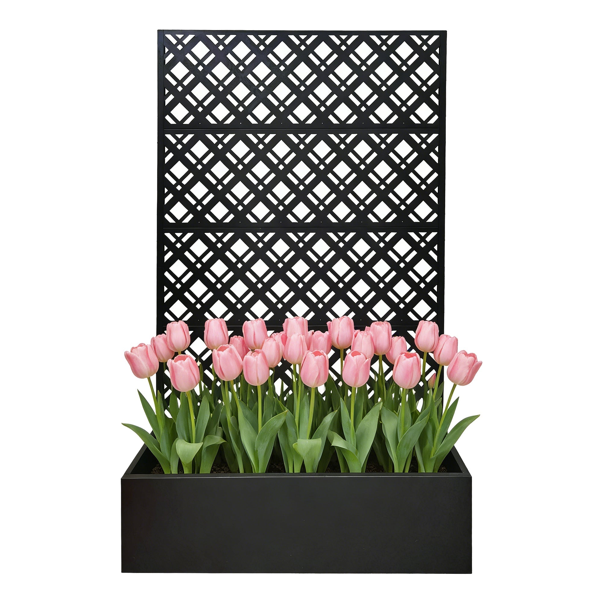 Rhombus Black Metal Planter Raised Garden Bed with Trellis