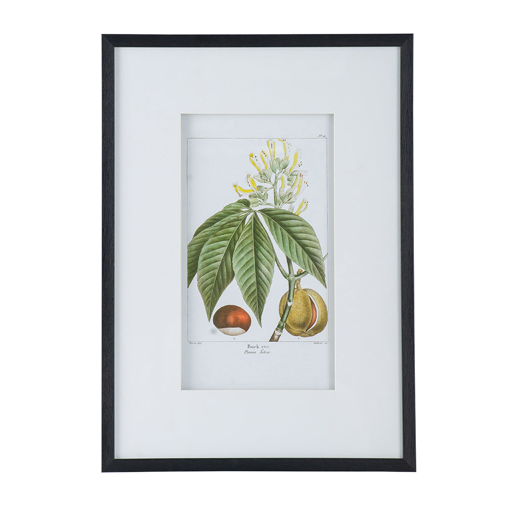 19.7x27.6 Botanical Wall Arts, Set of 2