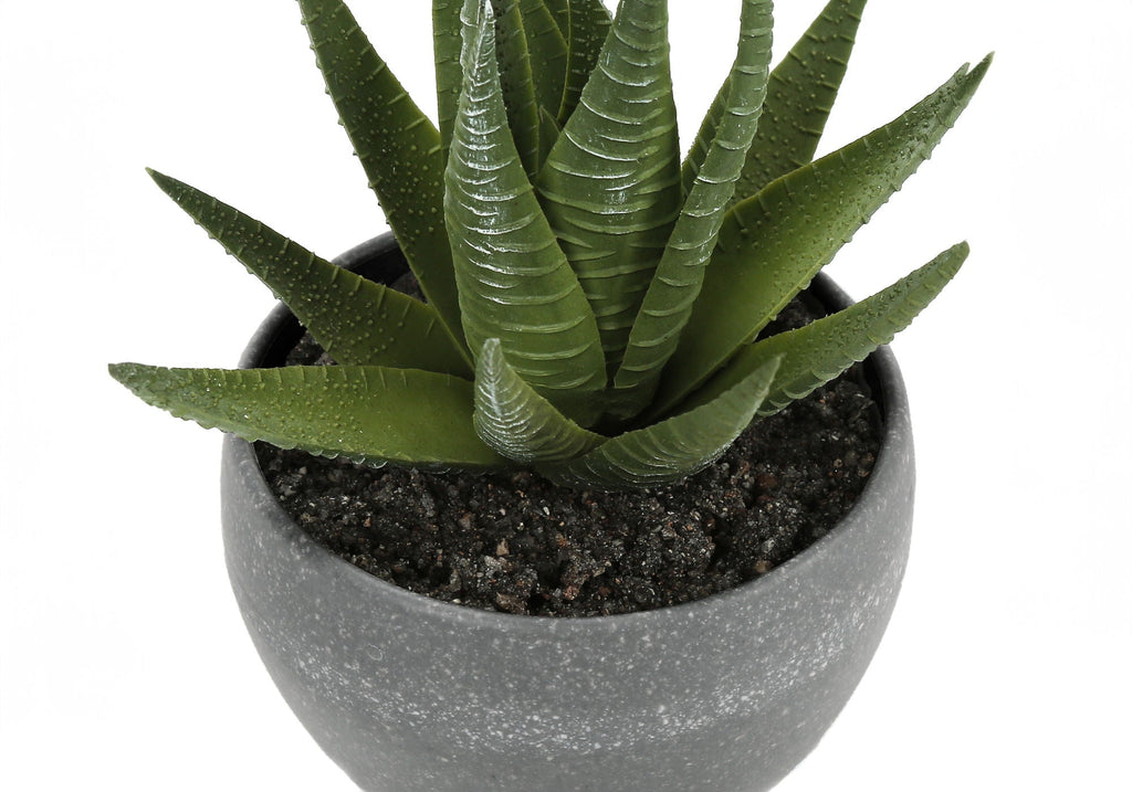 6" Tall Artificial Succulent Plant Set of 3