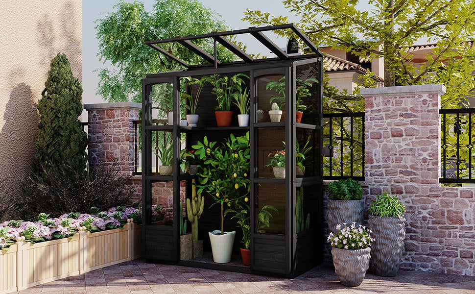 TOPMAX 78-inch Wooden Greenhouse Cold Frame with 4 Independent Skylights and 2 Folding Middle Shelves