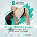 Equine Functional Taping Certification Course — 20 CE Hours